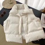 Womens Down Vest Jacket Stylish Stand Collar Sleeveless Design Autumn Winter Fashion