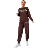 Womens Long Sleeve Letter Print Hoodie Set Casual Fashion Outfit Coffee Color low MOQ
