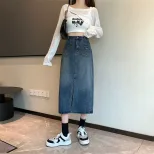 High Waist A Line Denim Skirt for Women Mid Length Gray Casual Style Spring Collection