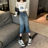 High Waist A Line Denim Skirt for Women Mid Length Gray Casual Style Spring Collection