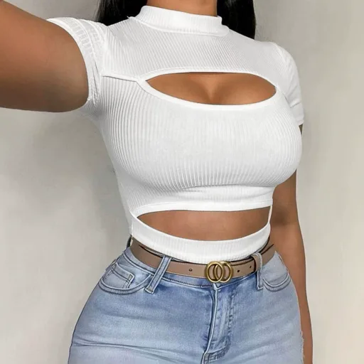 Womens Short Sleeve T Shirt Half Turtleneck Slim Fit Knit Summer Casual Wear Available In White Wholesale